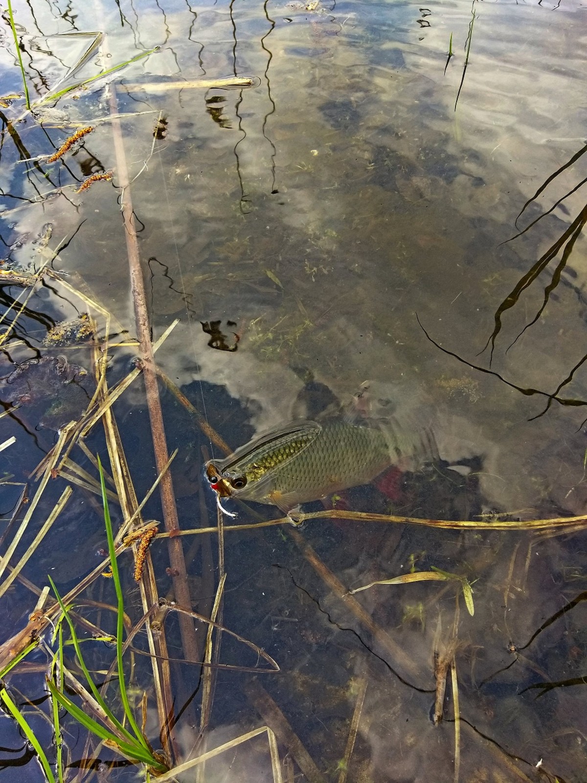IMG 20190505 143736