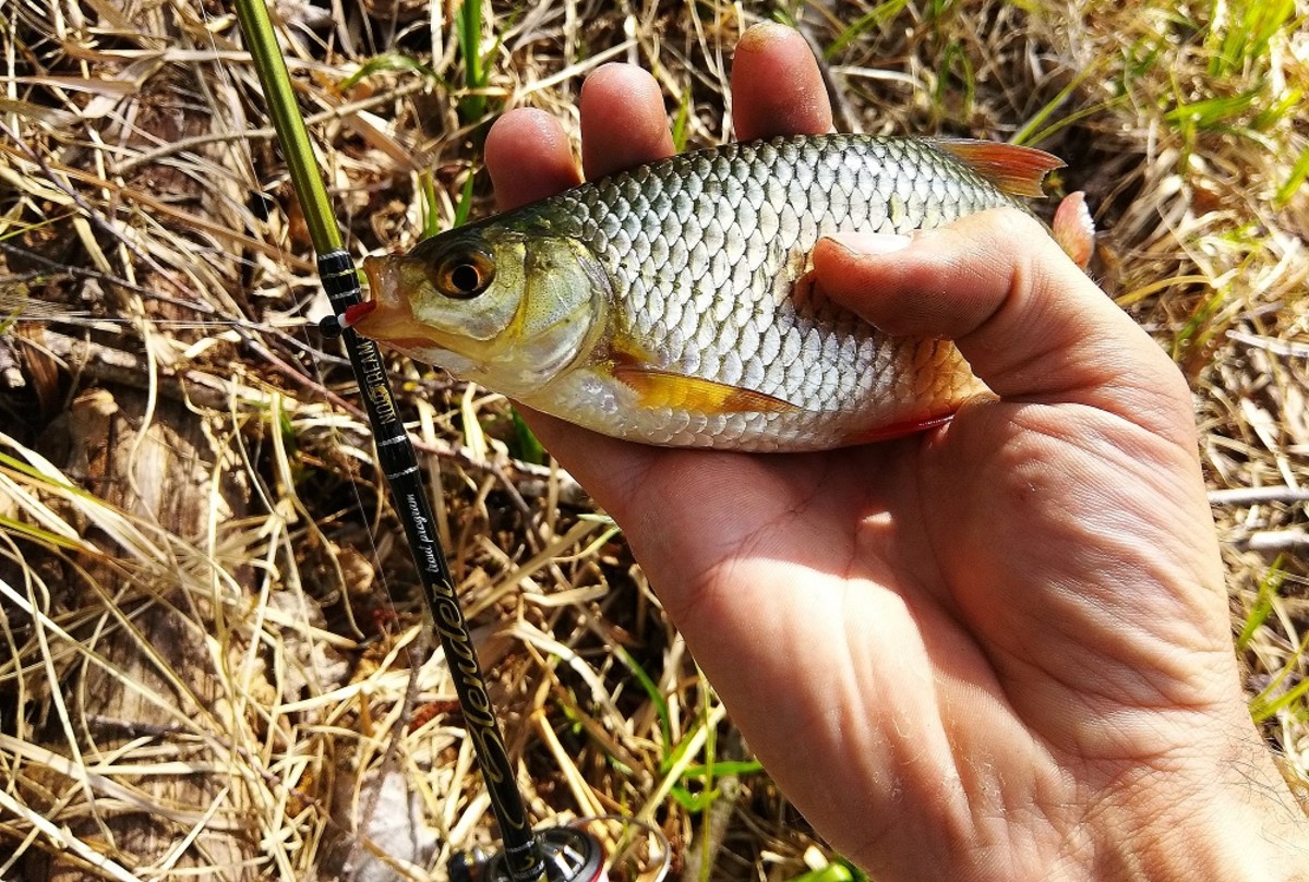 IMG 20190505 143941