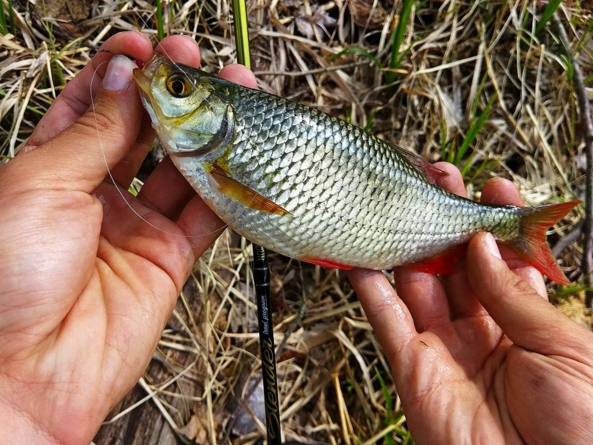 IMG 20190505 143941