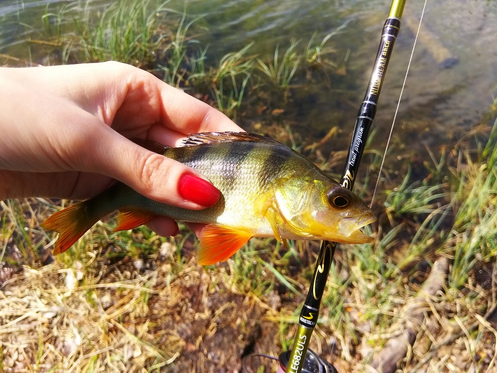 IMG 20190505 144246