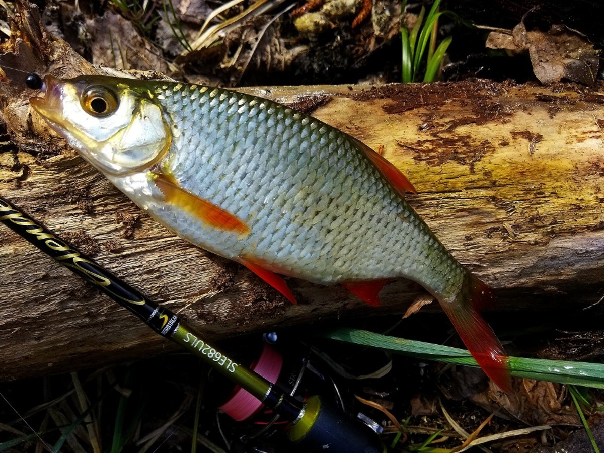 IMG 20190505 145831