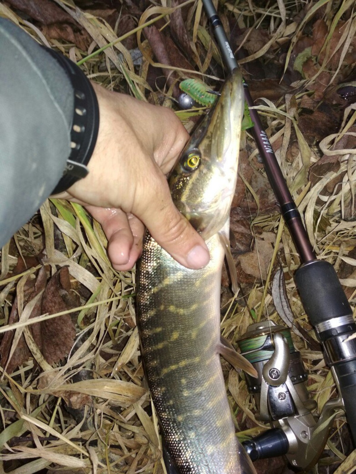 JmcWP63AtKQ