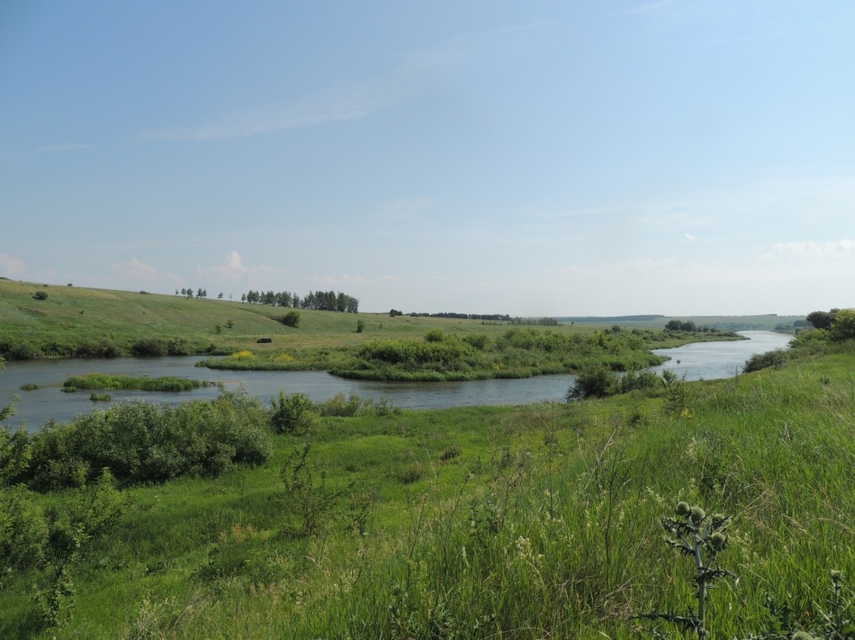 DSCN2894