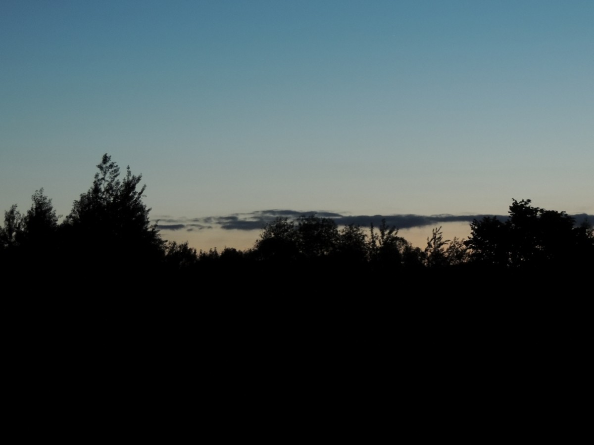 DSCN2548
