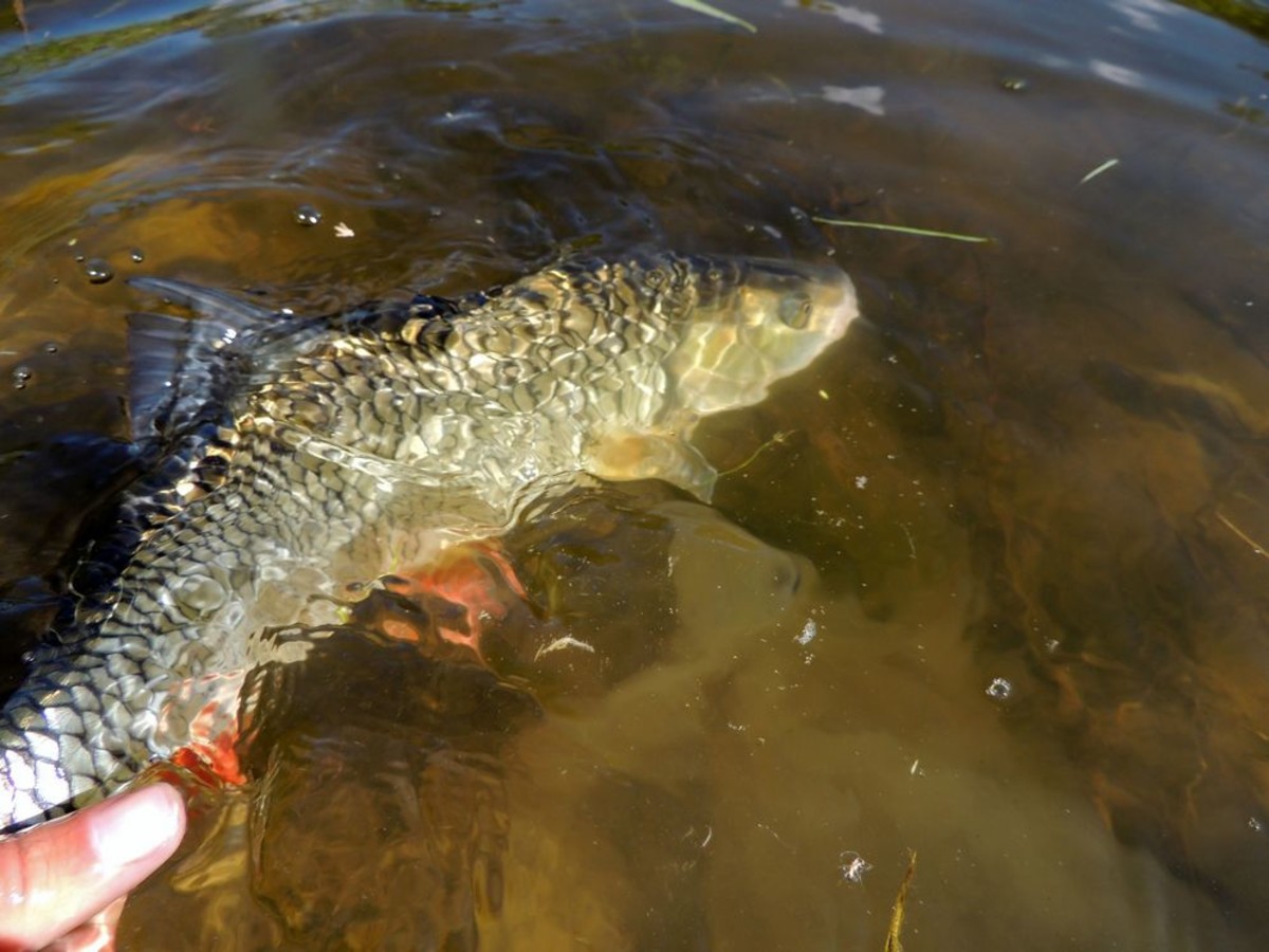 DSCN2730