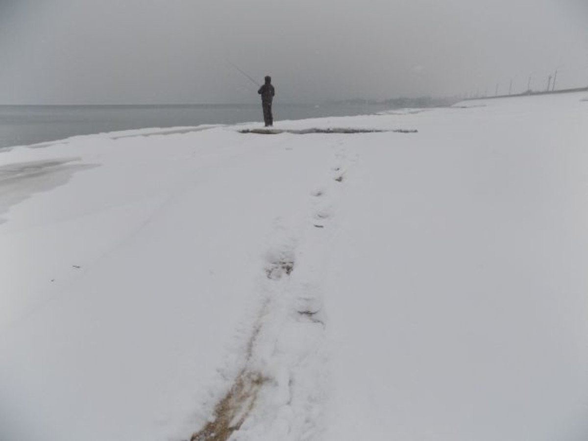 DSCN0946