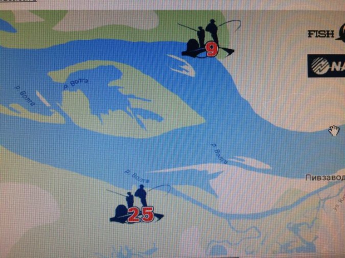 IMG 5967