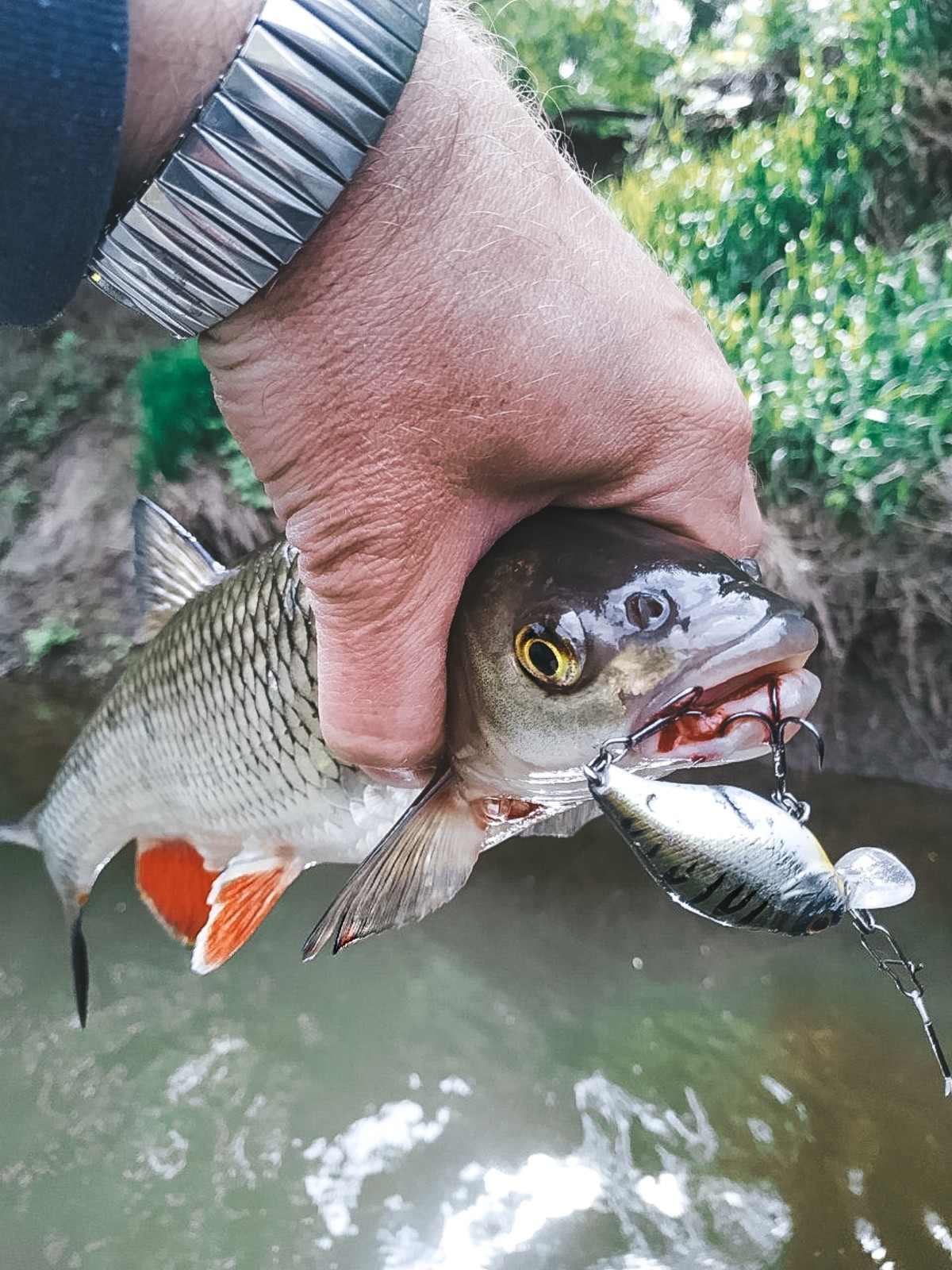 201905233098773188663723576