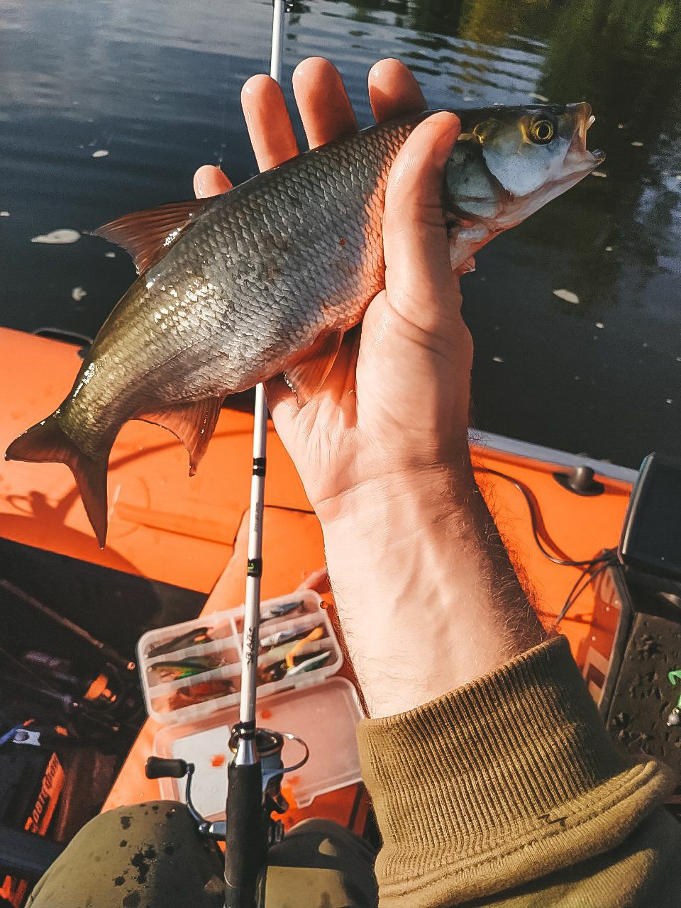 ji adEd mj4
