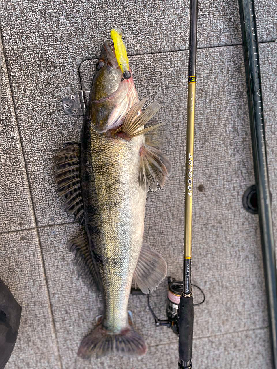 IMG 20211115 103919 816