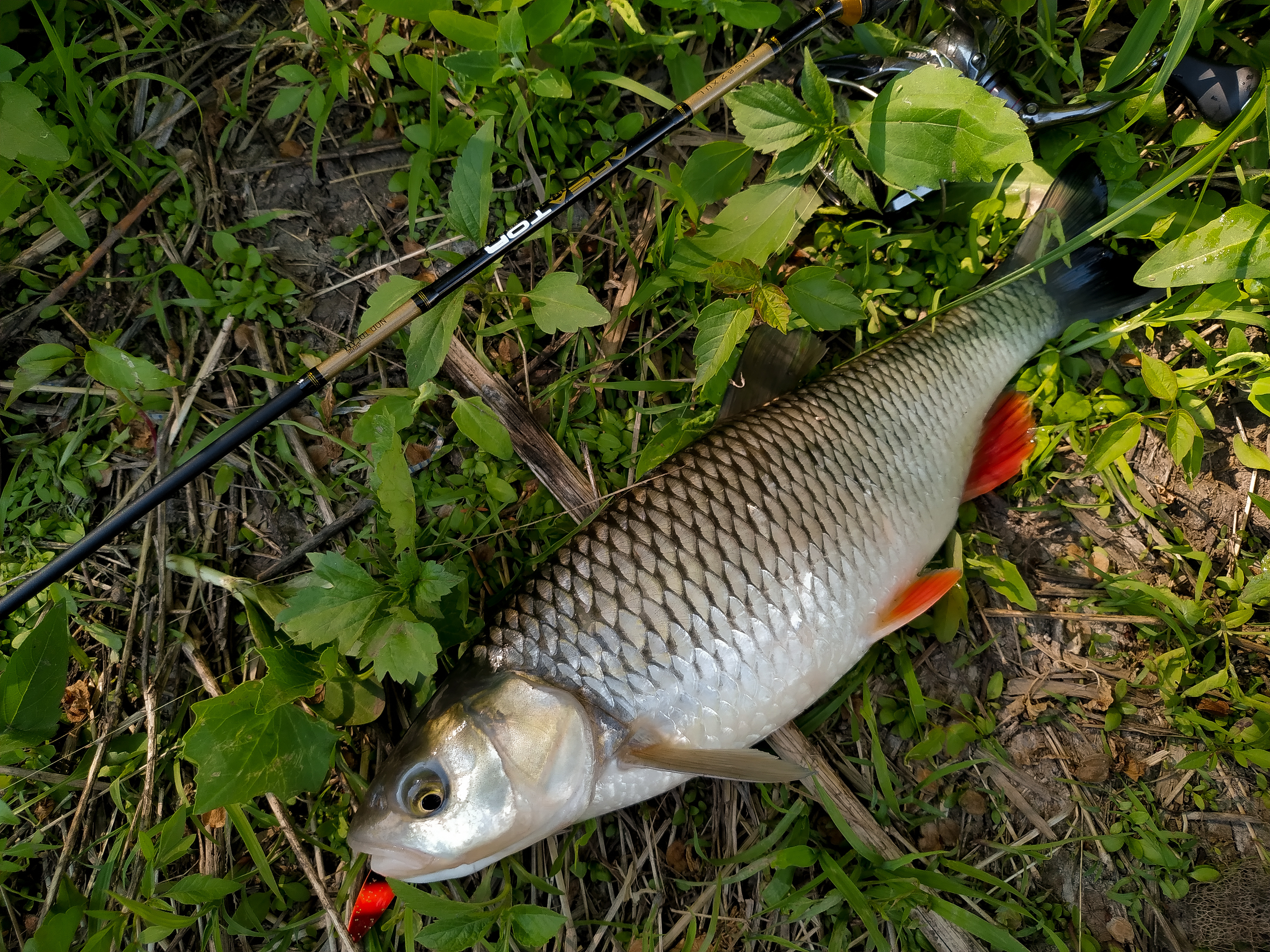 IMG 20190525 155044