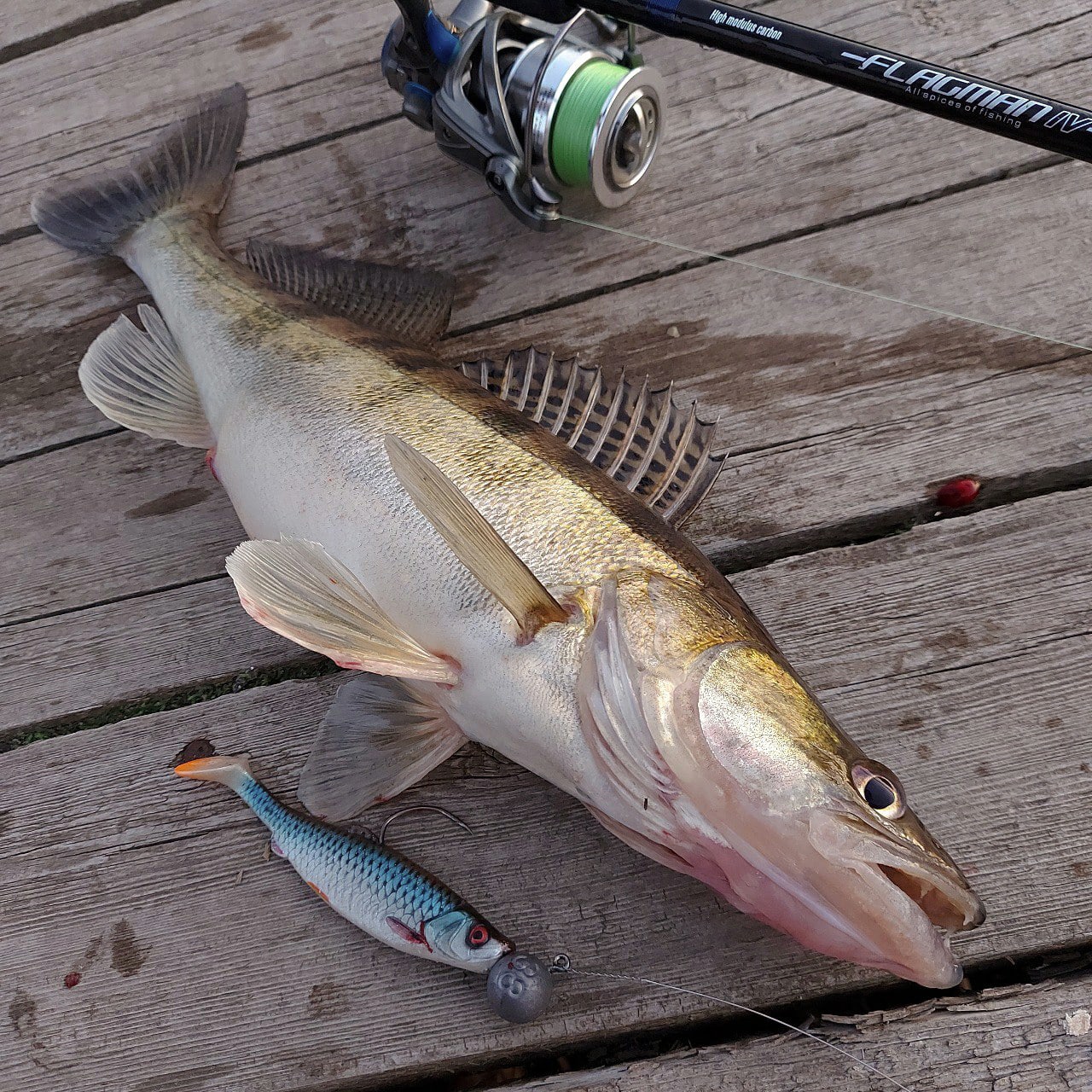 kRYU7SqflC0