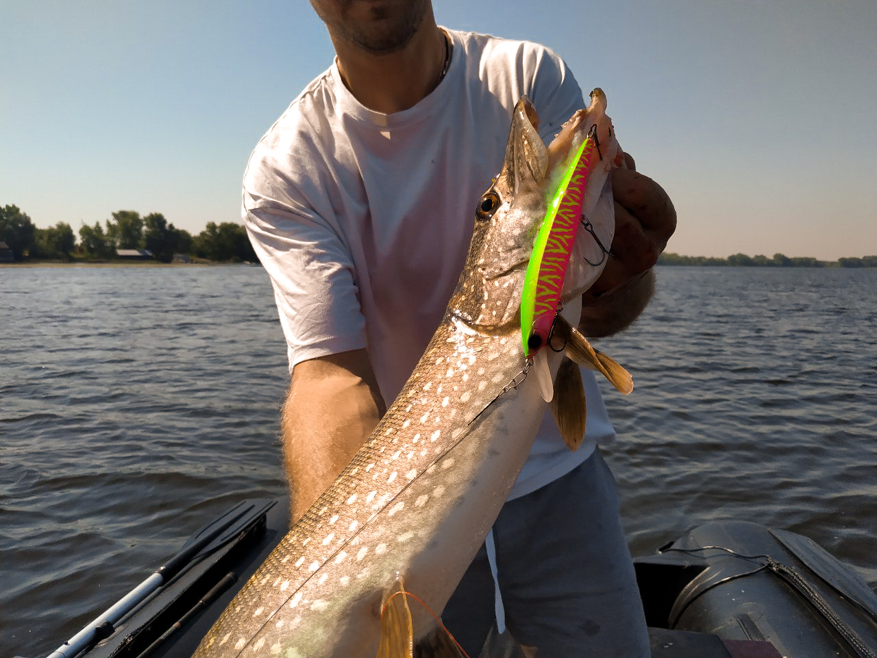 IMG 20200708 221907 719