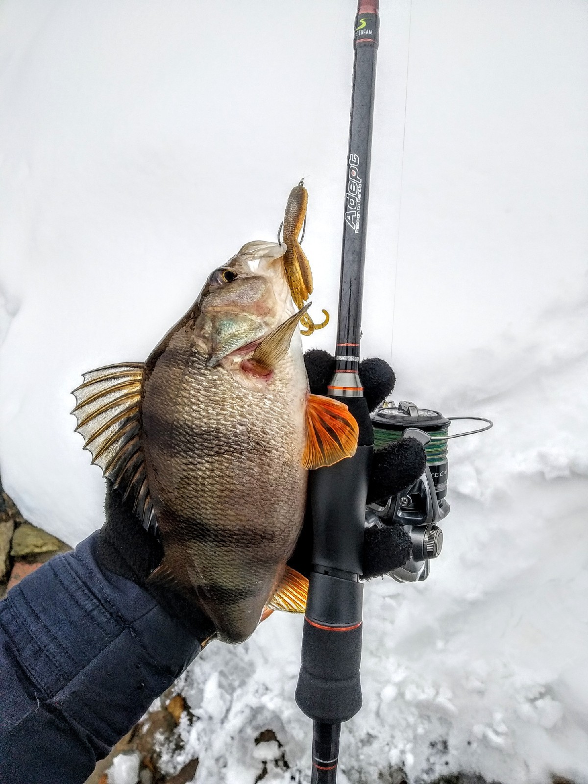 tqvtwHYEcOY