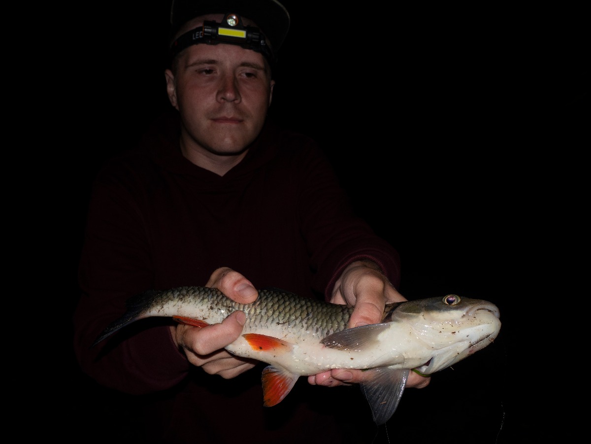 m P1001525