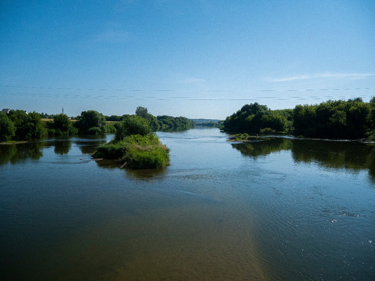 m P1001608