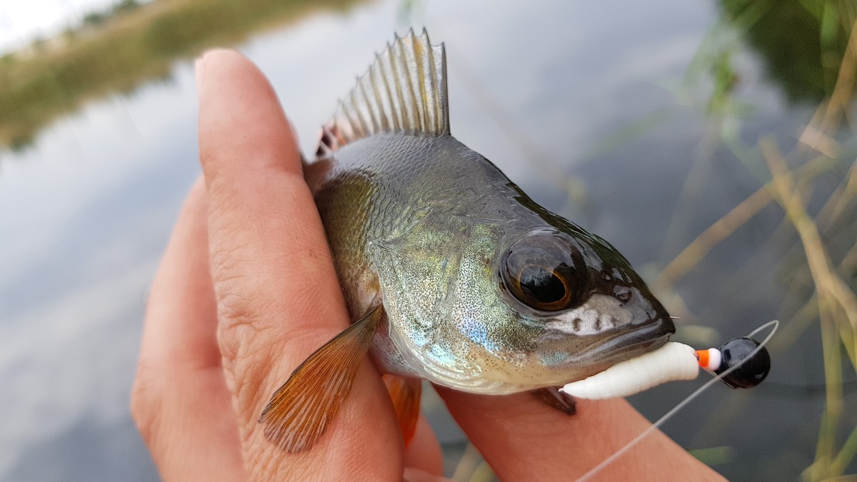 20180916 151407