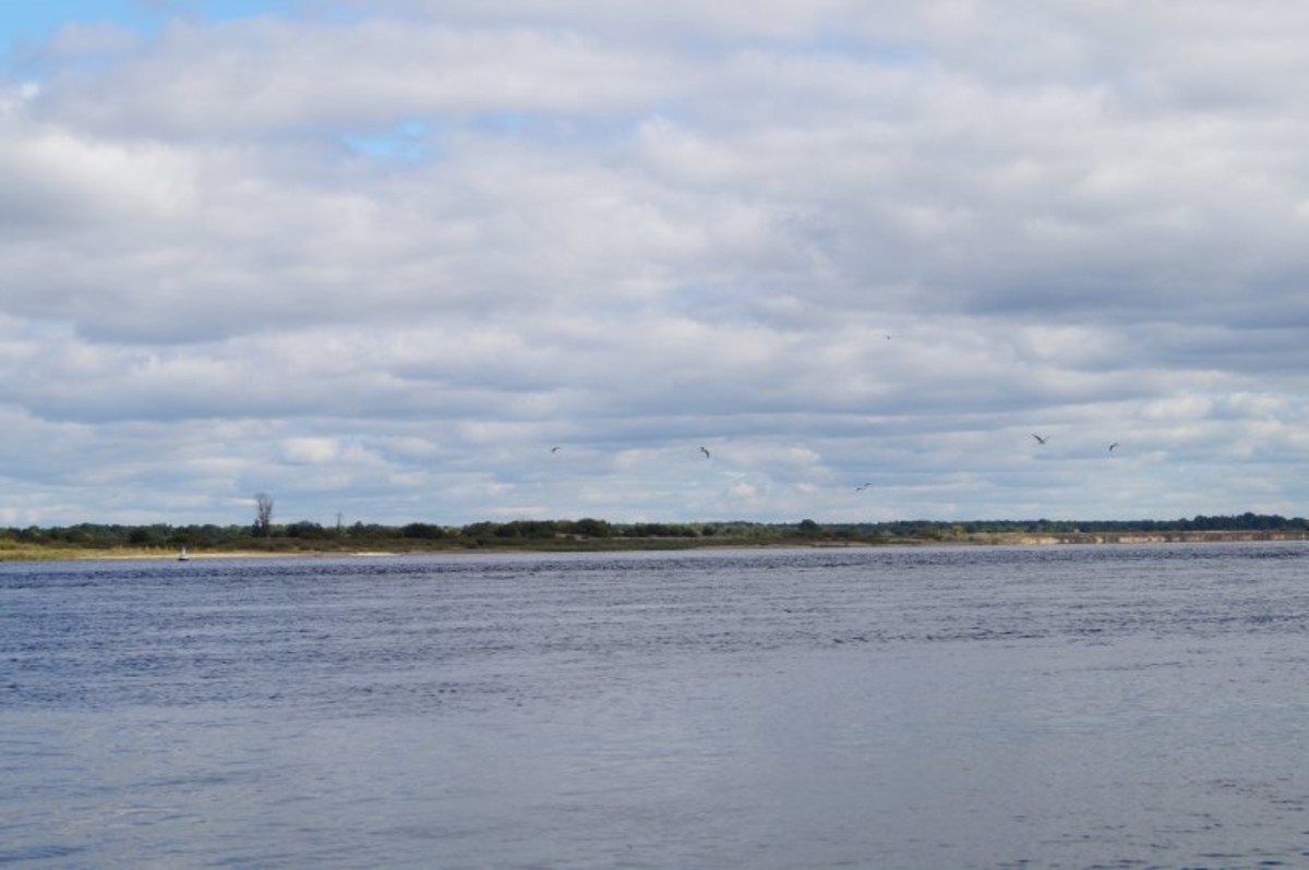 DSC04334 798x531