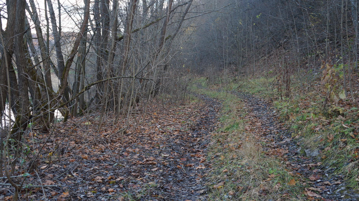 DSC06596