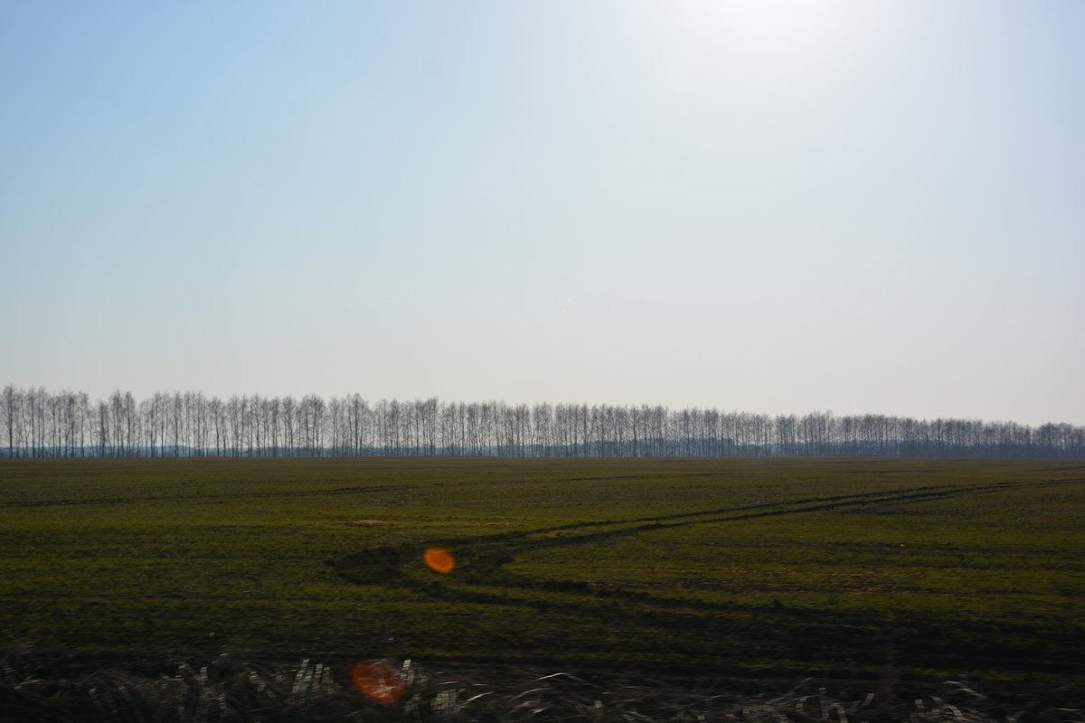 DSC 0125
