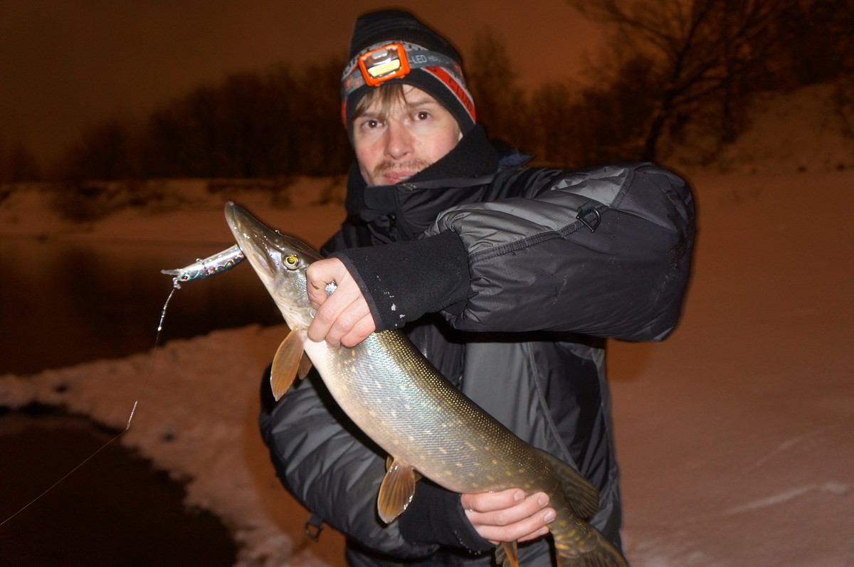 Bm5kzbPJbPc
