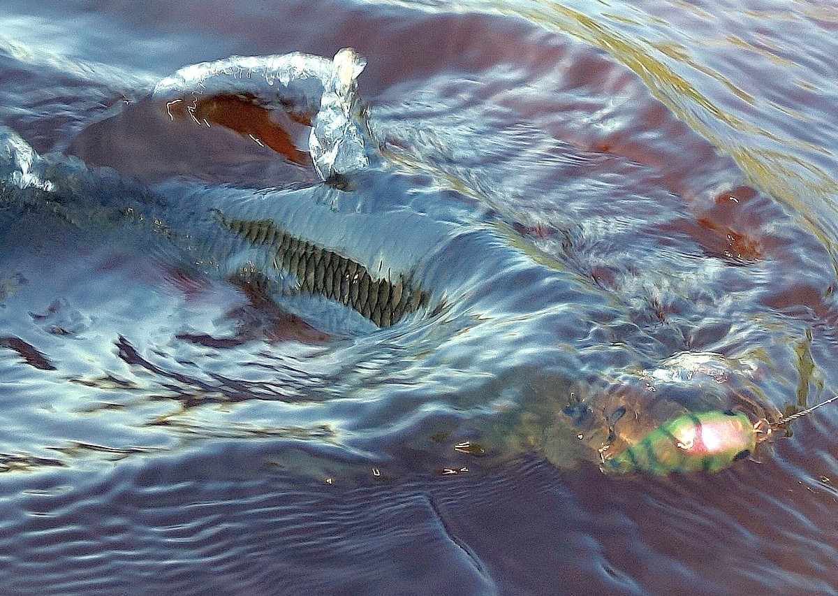 DSC01718