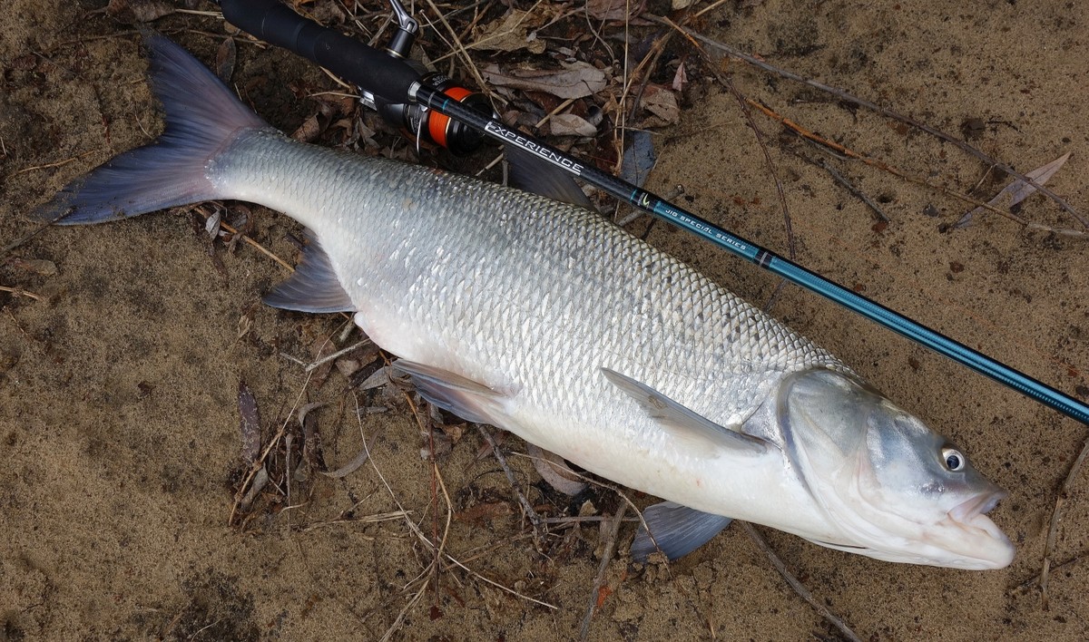 DSC06455