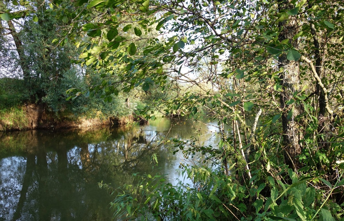 DSC09502
