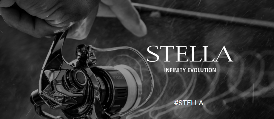 infinity evolution