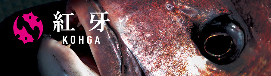 daiwa kohga 1