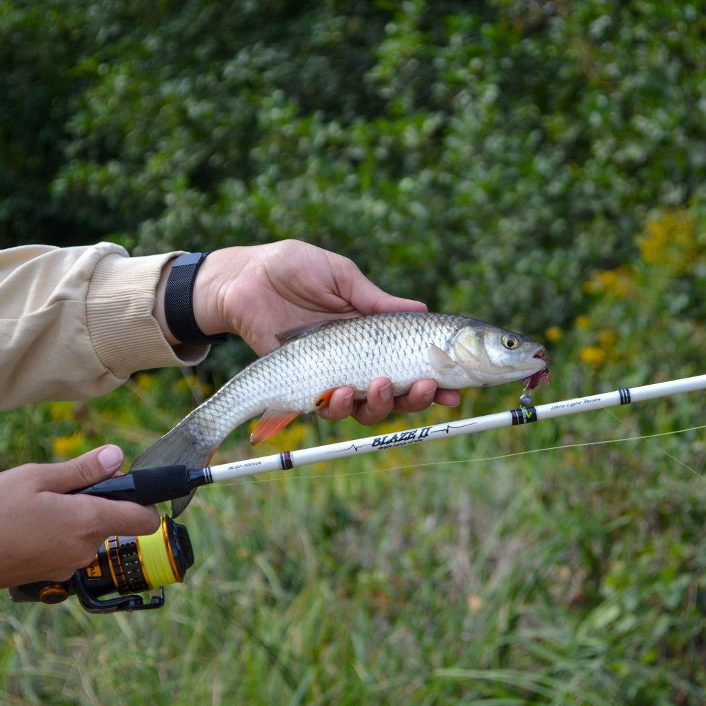 photo_2023-11-27_07-16-23.jpg