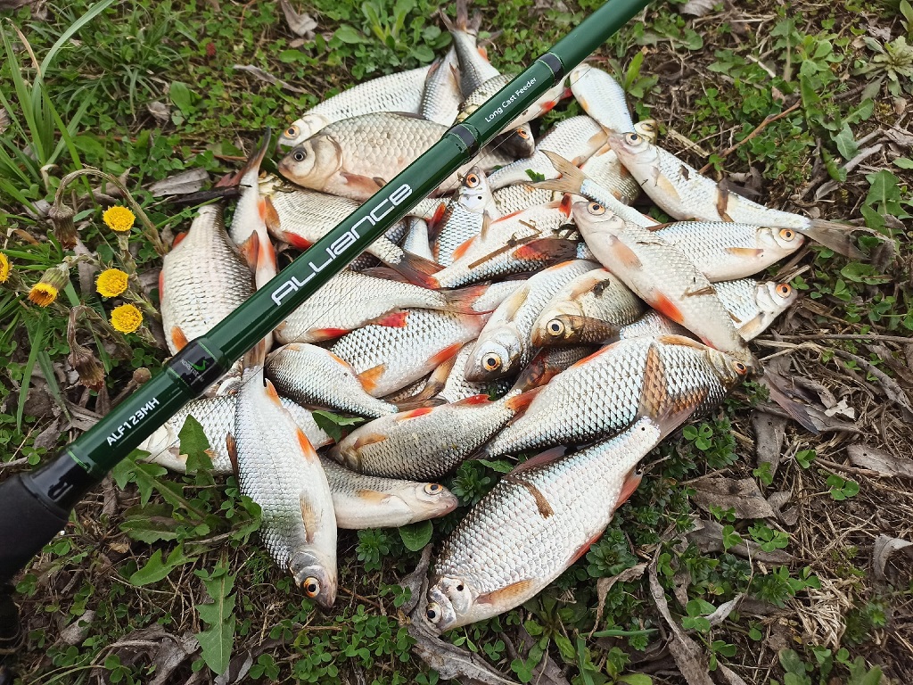 6jpg